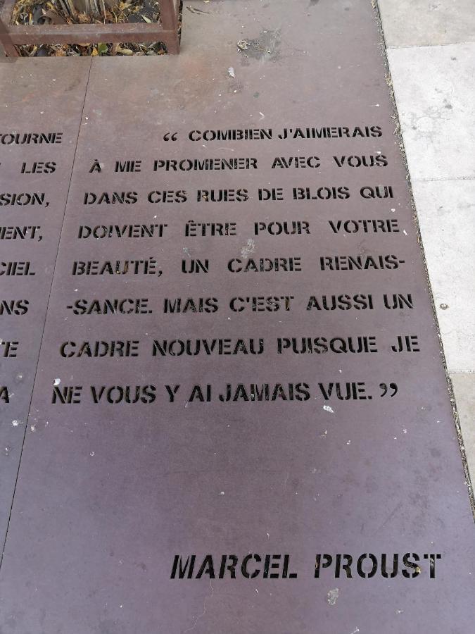Au Fil De Loire Apartment บลัวส์ ภายนอก รูปภาพ