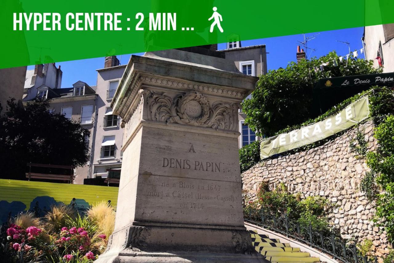 Au Fil De Loire Apartment บลัวส์ ภายนอก รูปภาพ